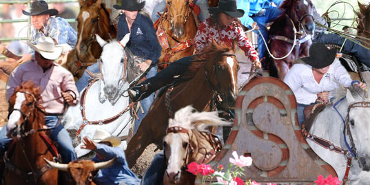 S Belle Brand Winning Wonders, Wonder Riders Win at Roping, Barrel Racing and Rodeo