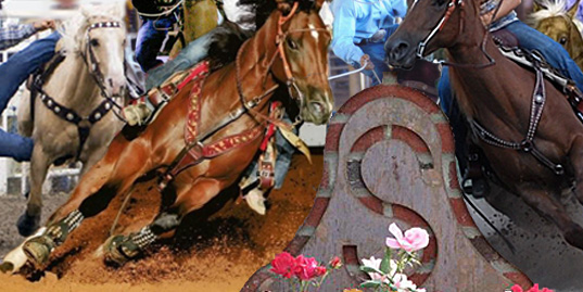 S Belle Brand Winning Wonders, Wonder Riders Win at Roping, Barrel Racing and Rodeo