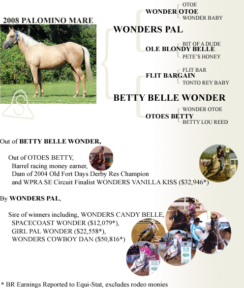 2009 Palomino Mare