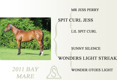 2011 Bay Mare