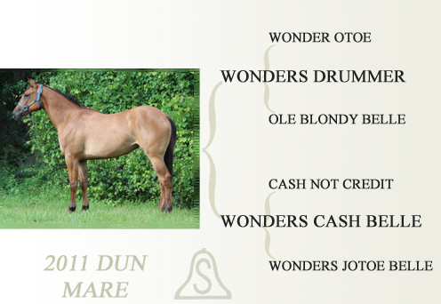 2011 Dun Mare