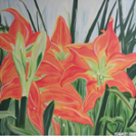 Lillies