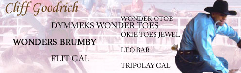 Cliff Goodrich Ropes with Wonders Brumby
