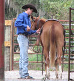 Dustin Shelton