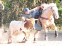 In the Practice Pen